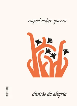 Navegando pelas irregularidades