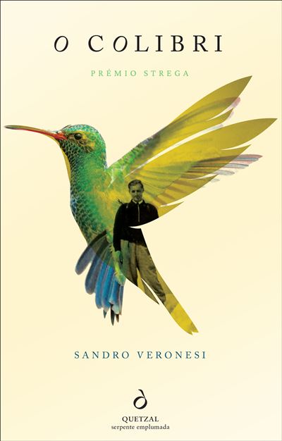 O magnífico voo do colibri