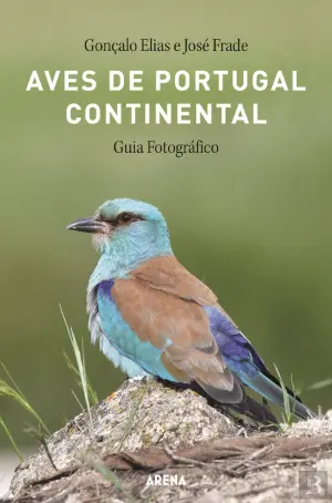 Um guia sobre quem nos olha de cima para baixo