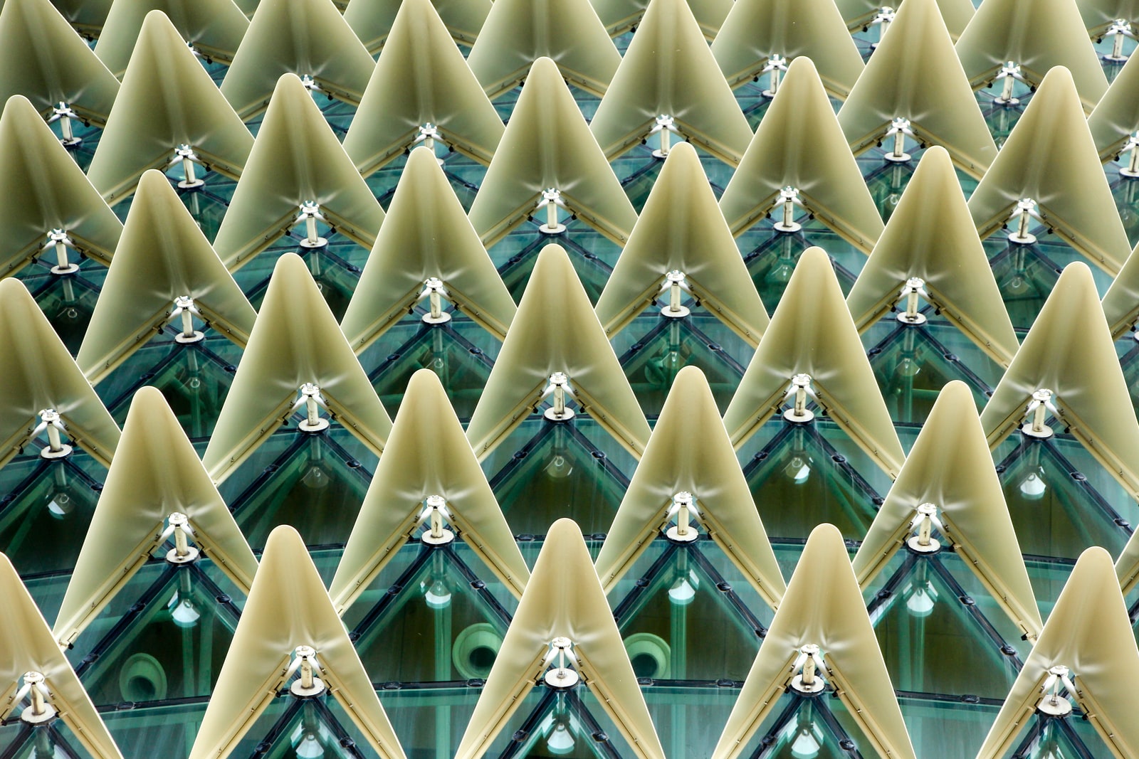 Ribeiros, riachos e bichos-de-conta