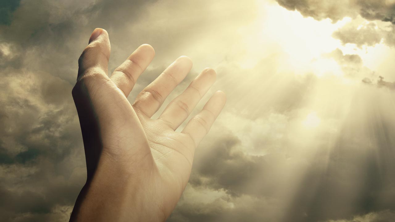 Epístola aos pangolins sobre variantes