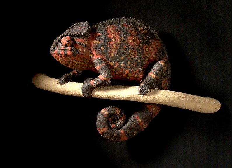 O pássaro da sabedoria