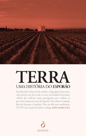 Uma alma antiga feita de histórias