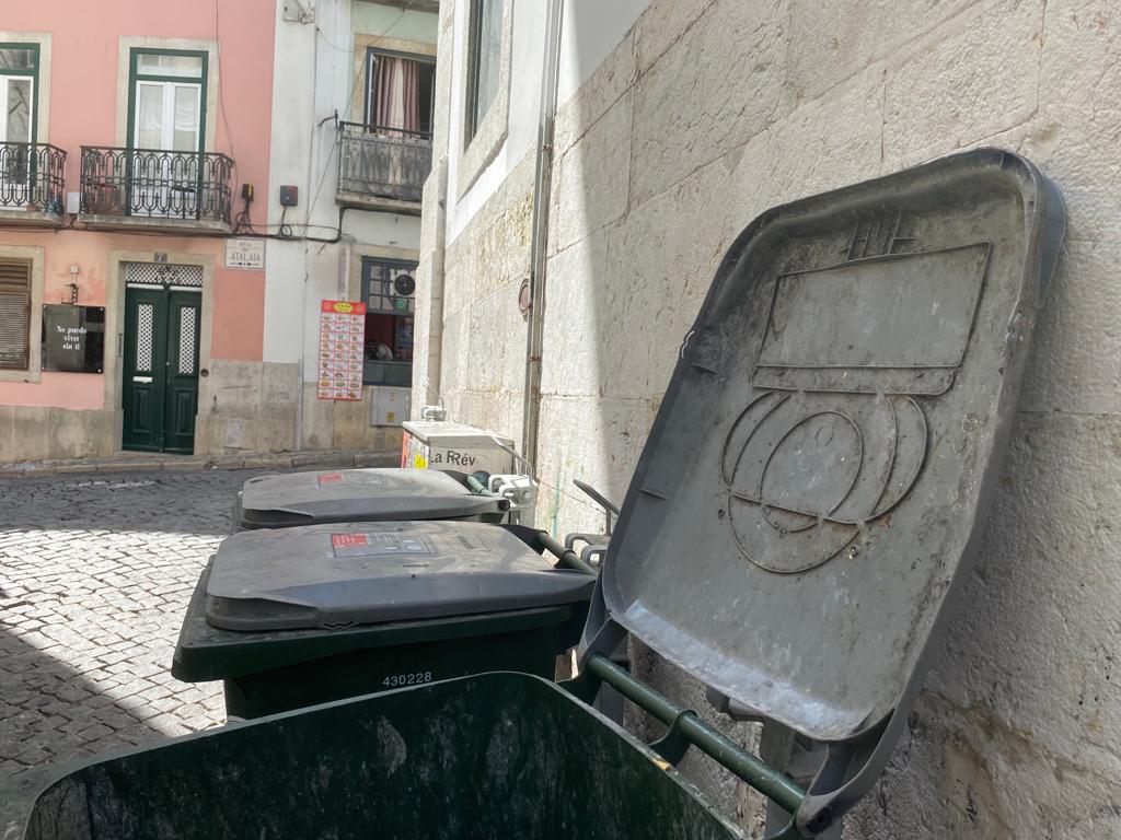 Os verdes monos de Lisboa: feios, porcos e maus