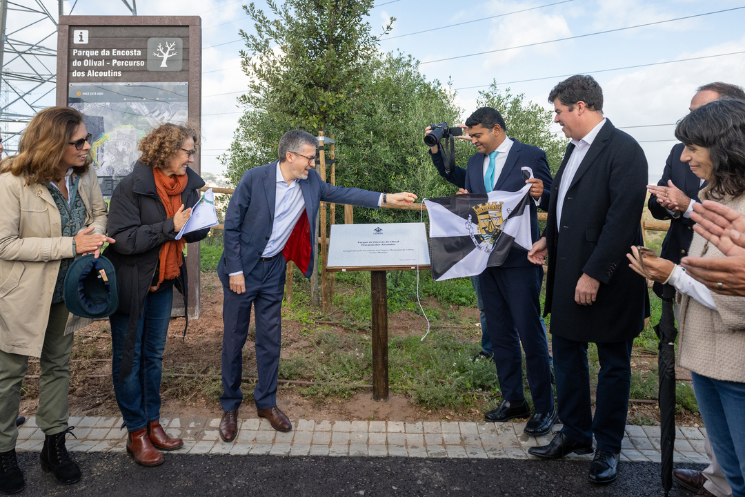 Câmara de Lisboa: só este ano, contratos em assessoria política atingem os 1,8 milhões de euros