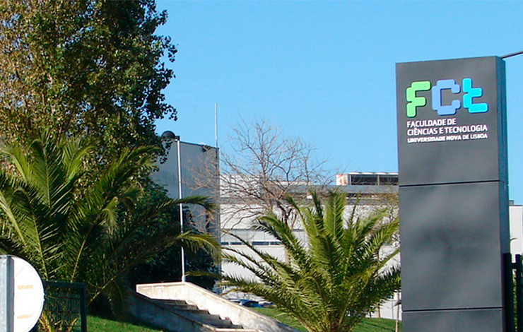 Universidade Nova de Lisboa anula concurso público para entregar obra a empresa com capital social de 5.000 euros