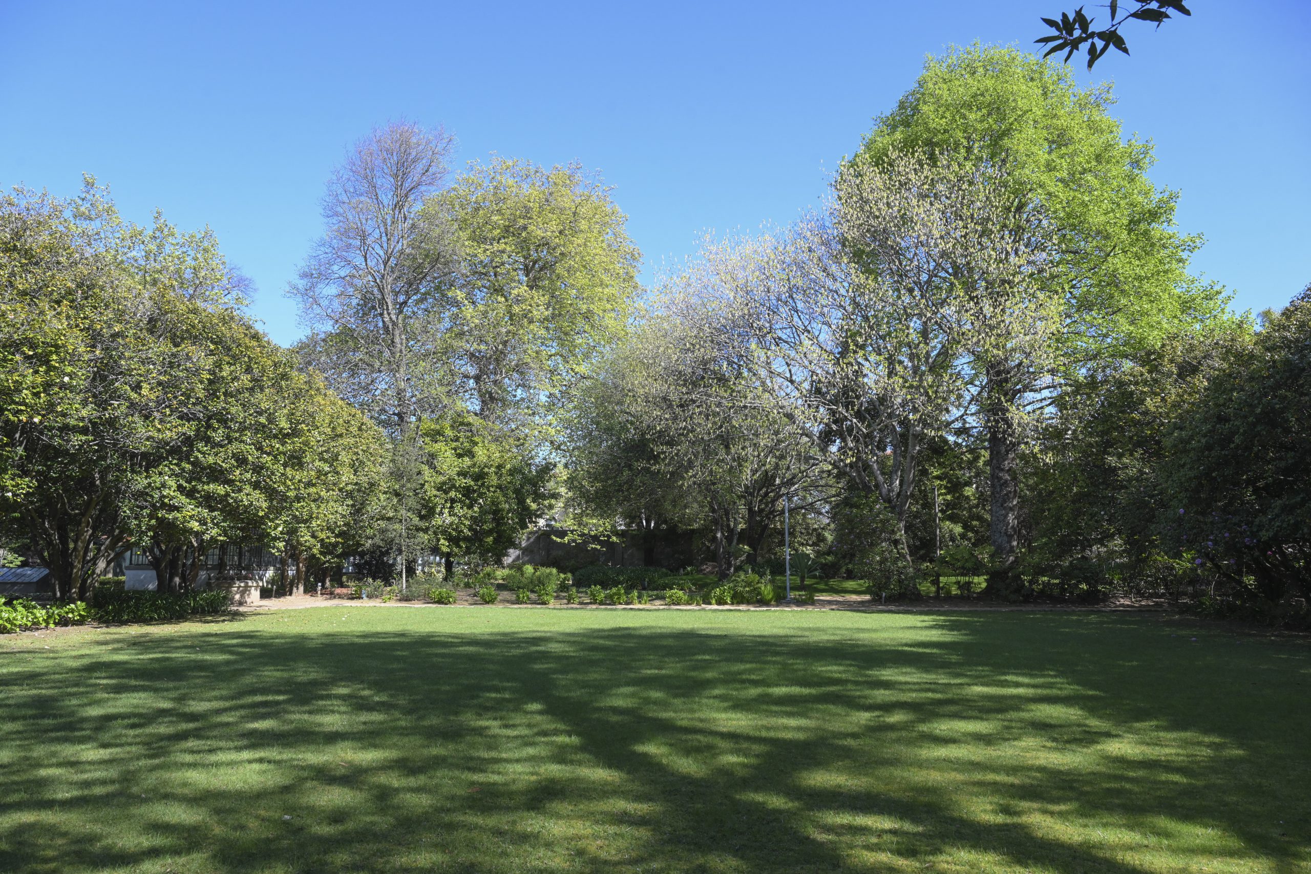 Universidade do Porto ‘presa’ a uma tenda de 4.000 euros por mês