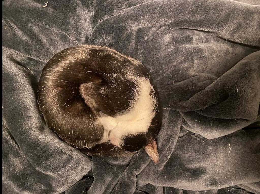 As ‘Fugas’ do Público para um precipício etílico