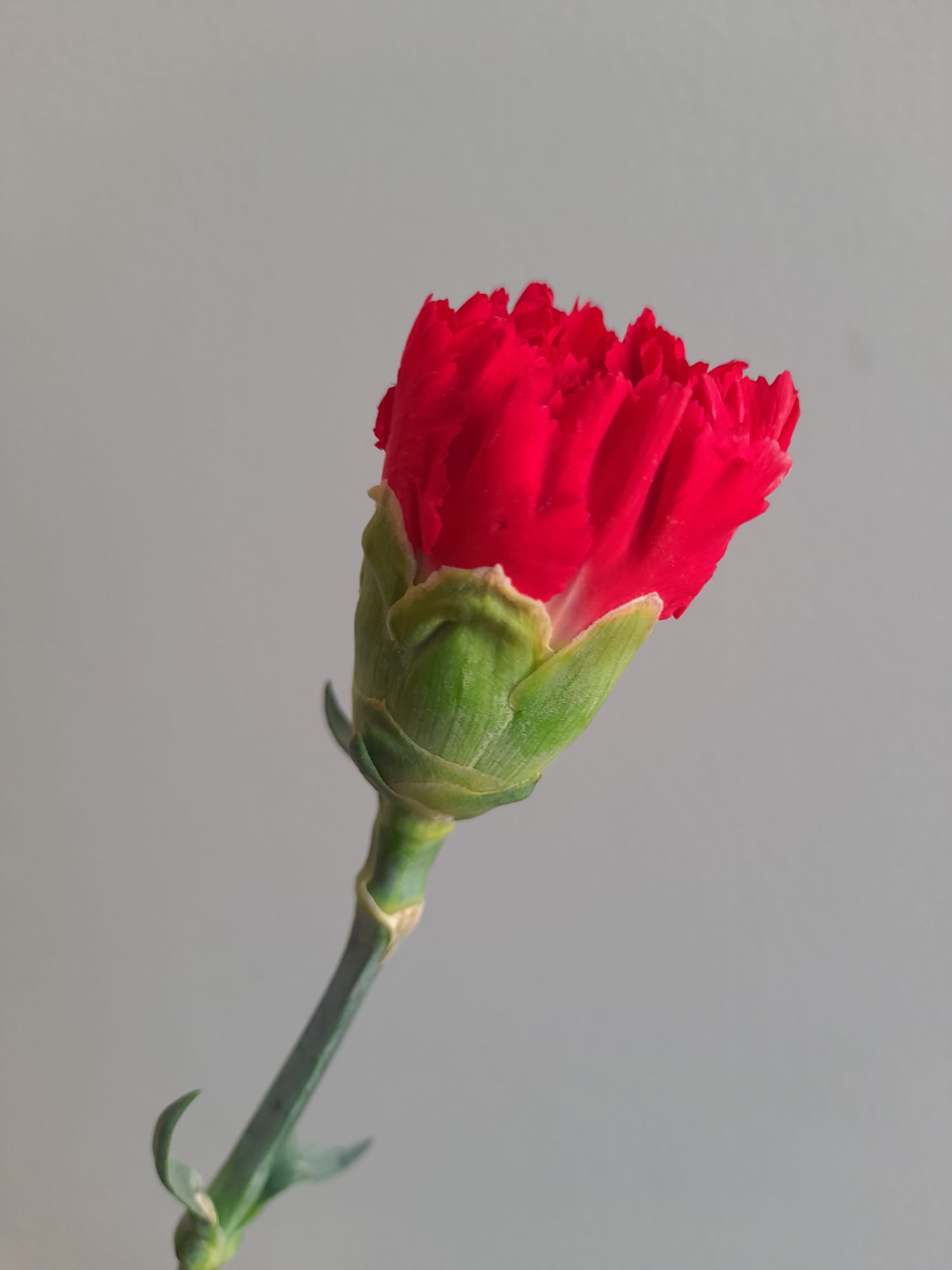 As estórias (pouco contadas) do 25 de Abril