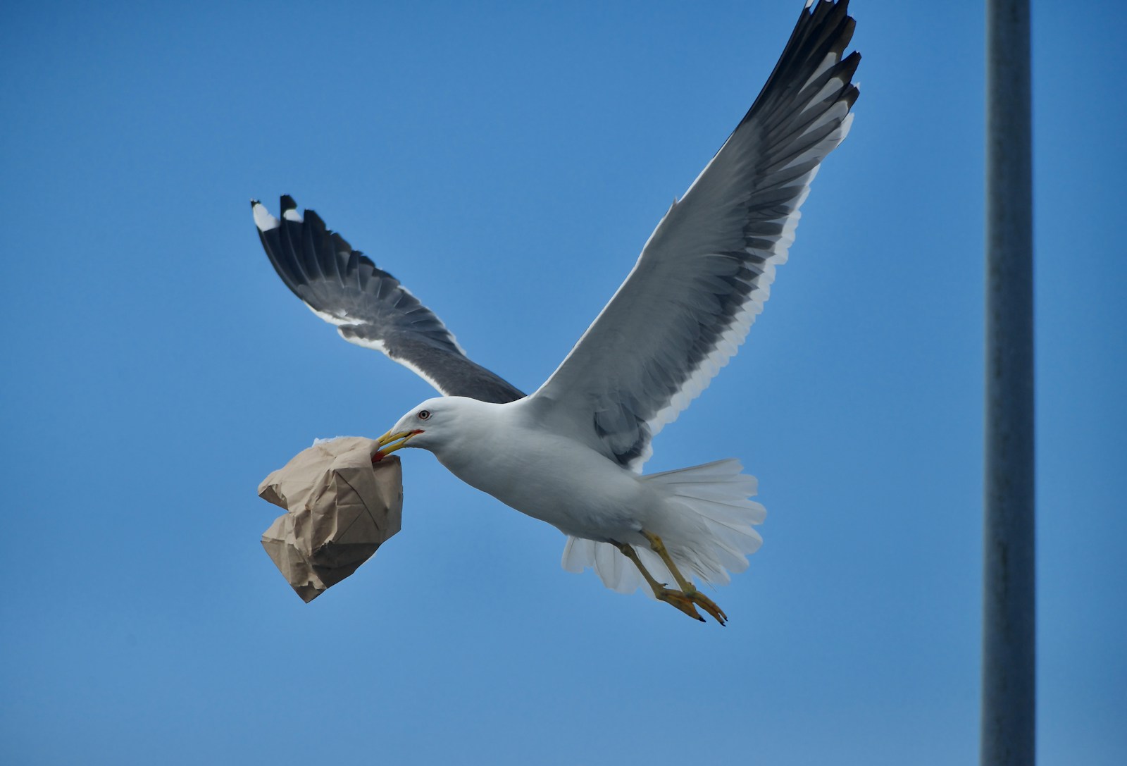 Trust in News: sem pagar nada, empresa de 10 mil euros já vai em ‘calotes’ de 30 milhões