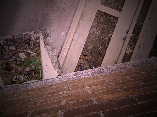 Pagar as vacas ao dono