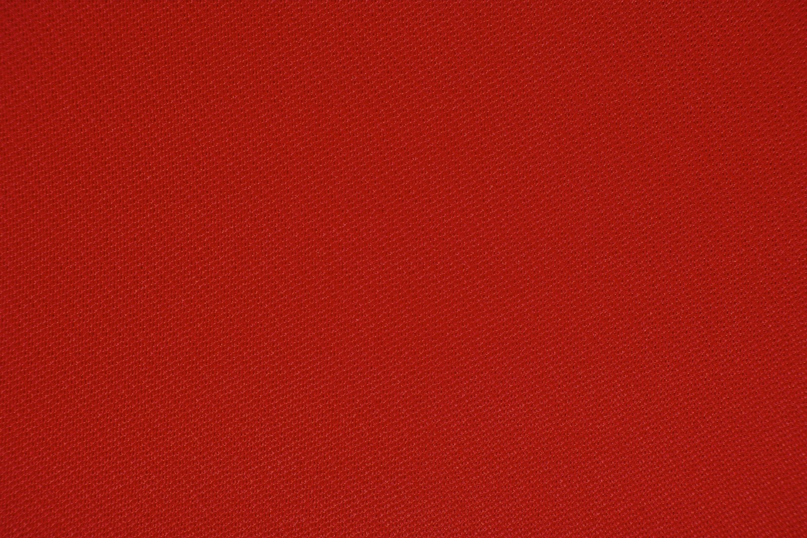 CCPJ revalida carteira profissional da jornalista Elisabete Tavares