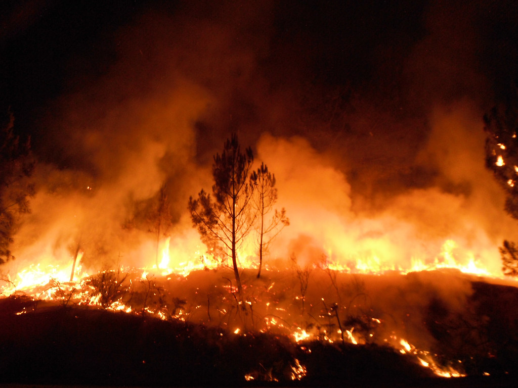 Cartel dos fogos: Força Aérea já gastou este ano mais de 181 milhões no aluguer de meios aéreos