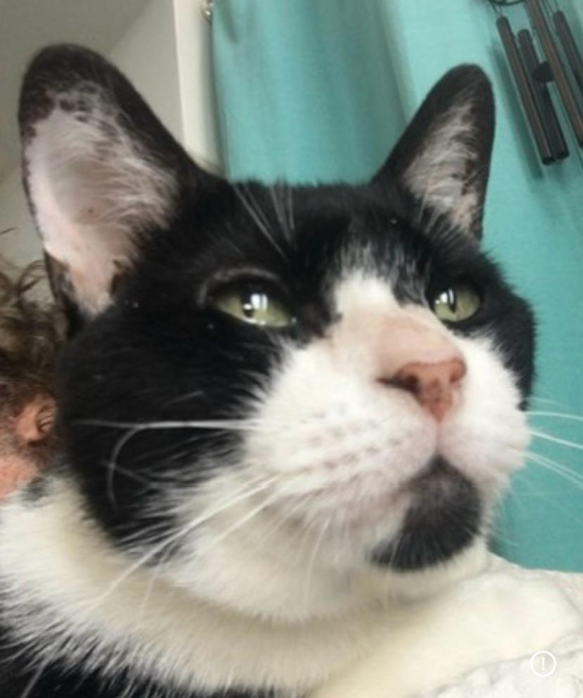 Serafim: 17 anos cheios de vida