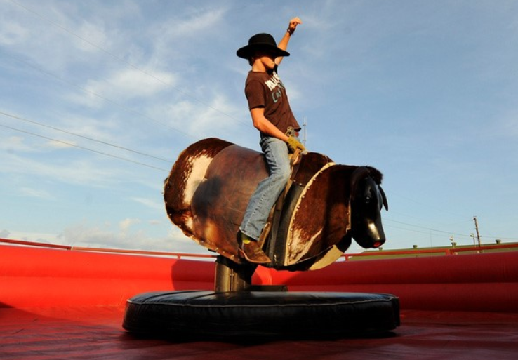 Touro mecânico foi contratado pela Agência Nacional de Inovação para acção de ‘team building’