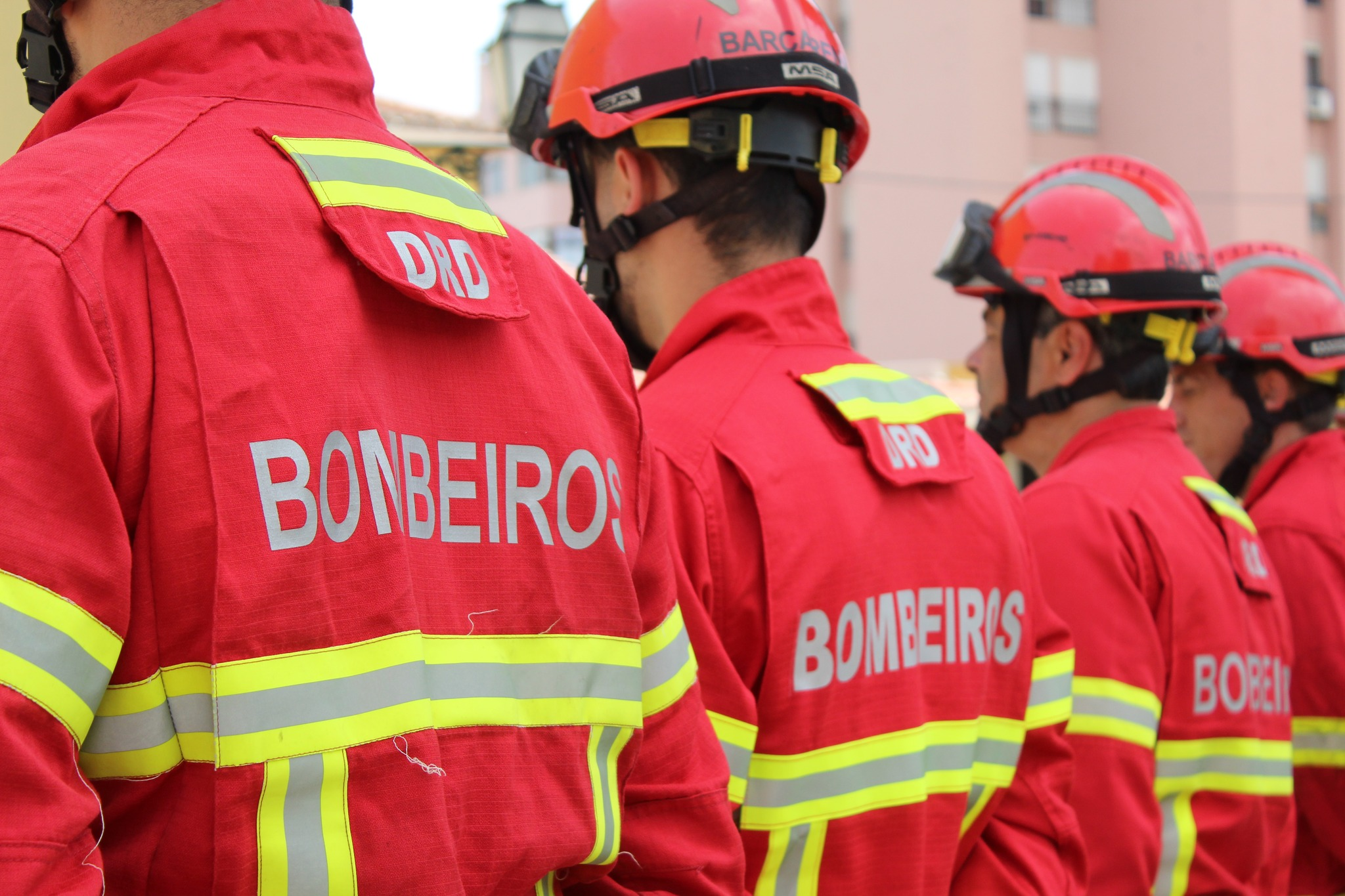 339 hectares por cada incêndio em Agosto: conheça os números do verdadeiro colapso do sistema de combate