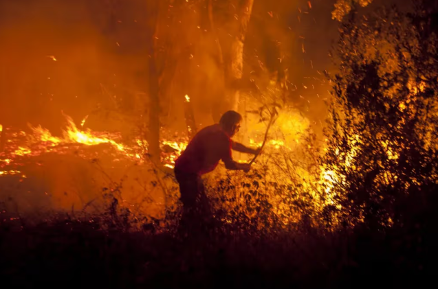 Incêndios: o que é preciso mudar (para que não fique tudo na mesma)