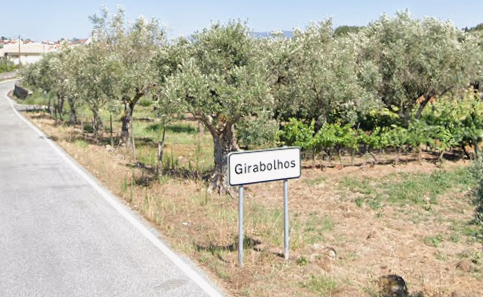 Cheias no Baixo Mondego: não nos atirem Girabolhos para os olhos
