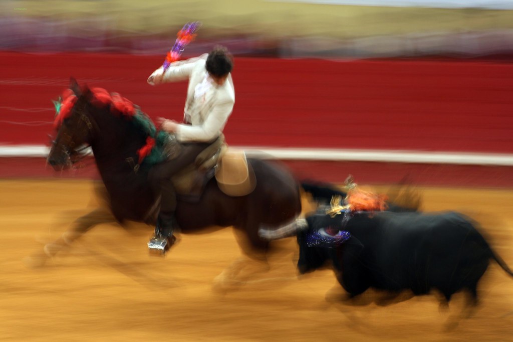 Autarquias ’toureiam’ contribuintes e gastam 825 mil euros em bilhetes para touradas