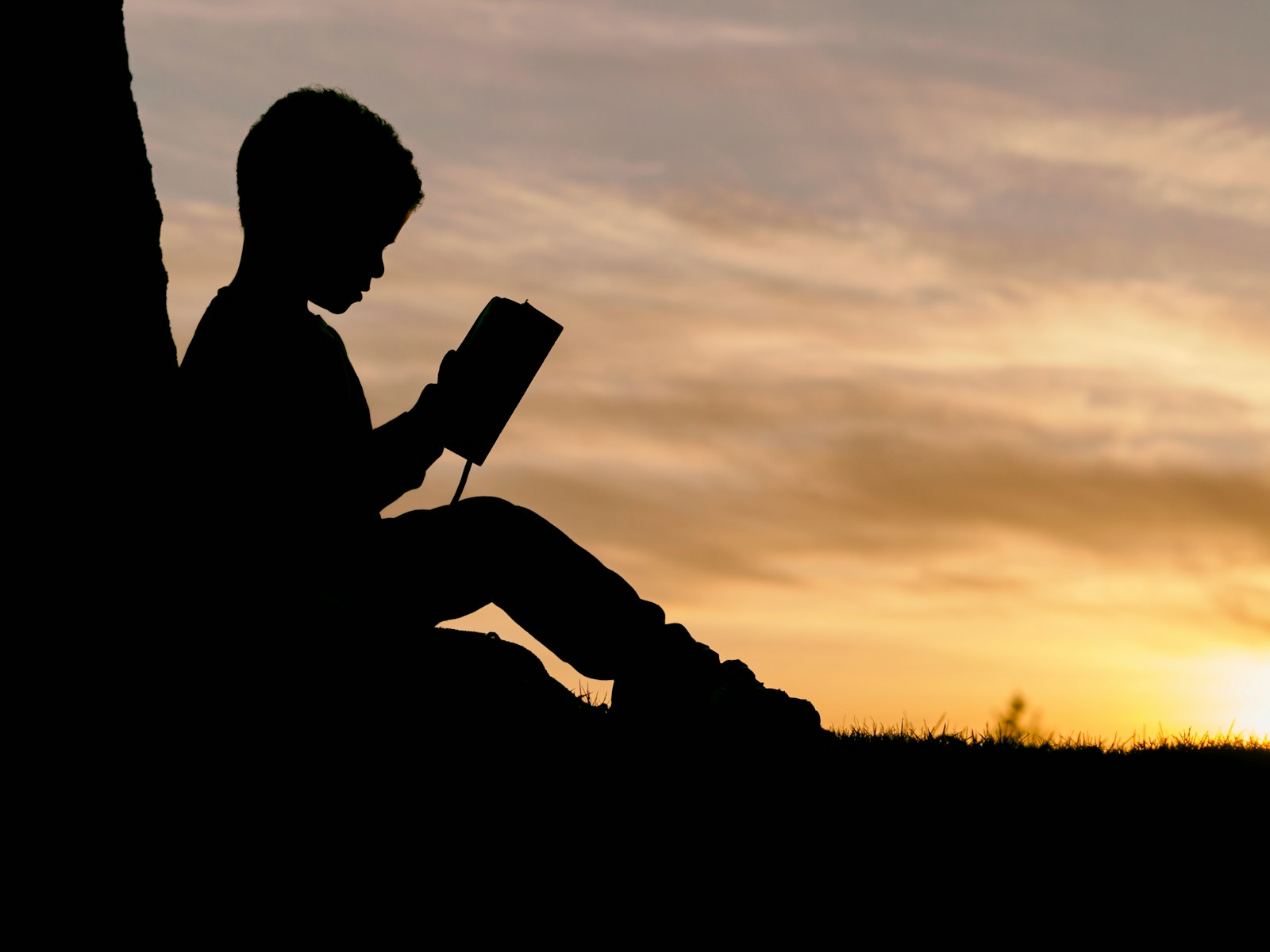 Leitura livre com ideias vigiadas