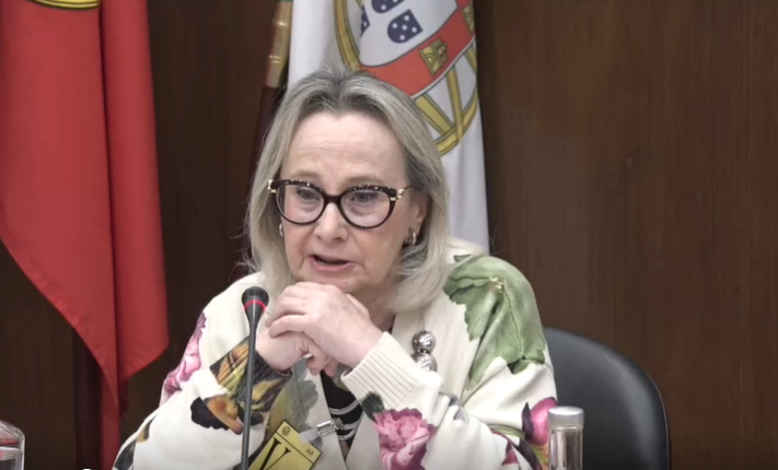 Pandemia: o Parlamento não se pode transformar numa lavandaria de erros, de nódoas e de mentiras