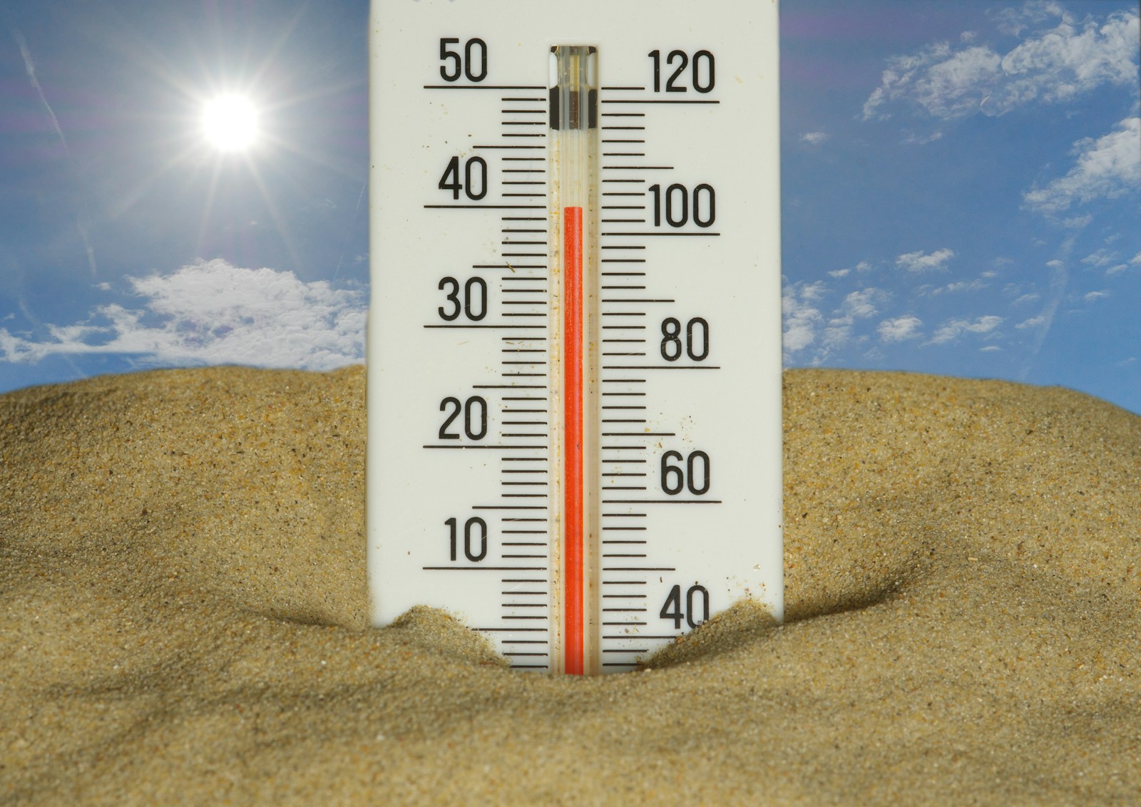 PÁGINA UM mostra o que se passou nos hospitais na pior onda de calor deste século