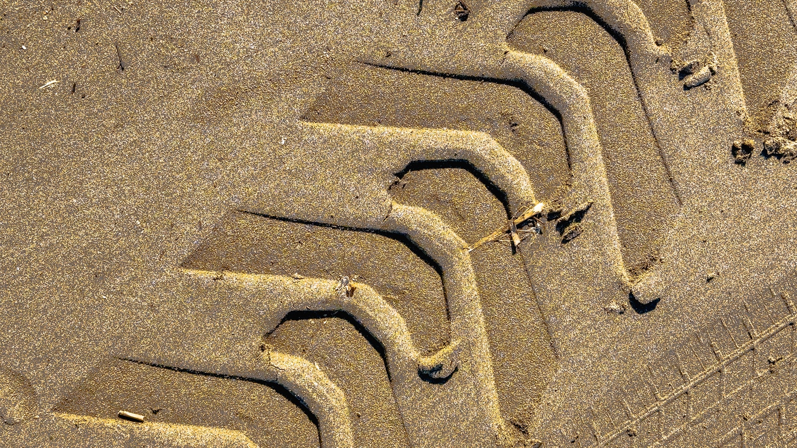 A row of sand sculptures on a beach