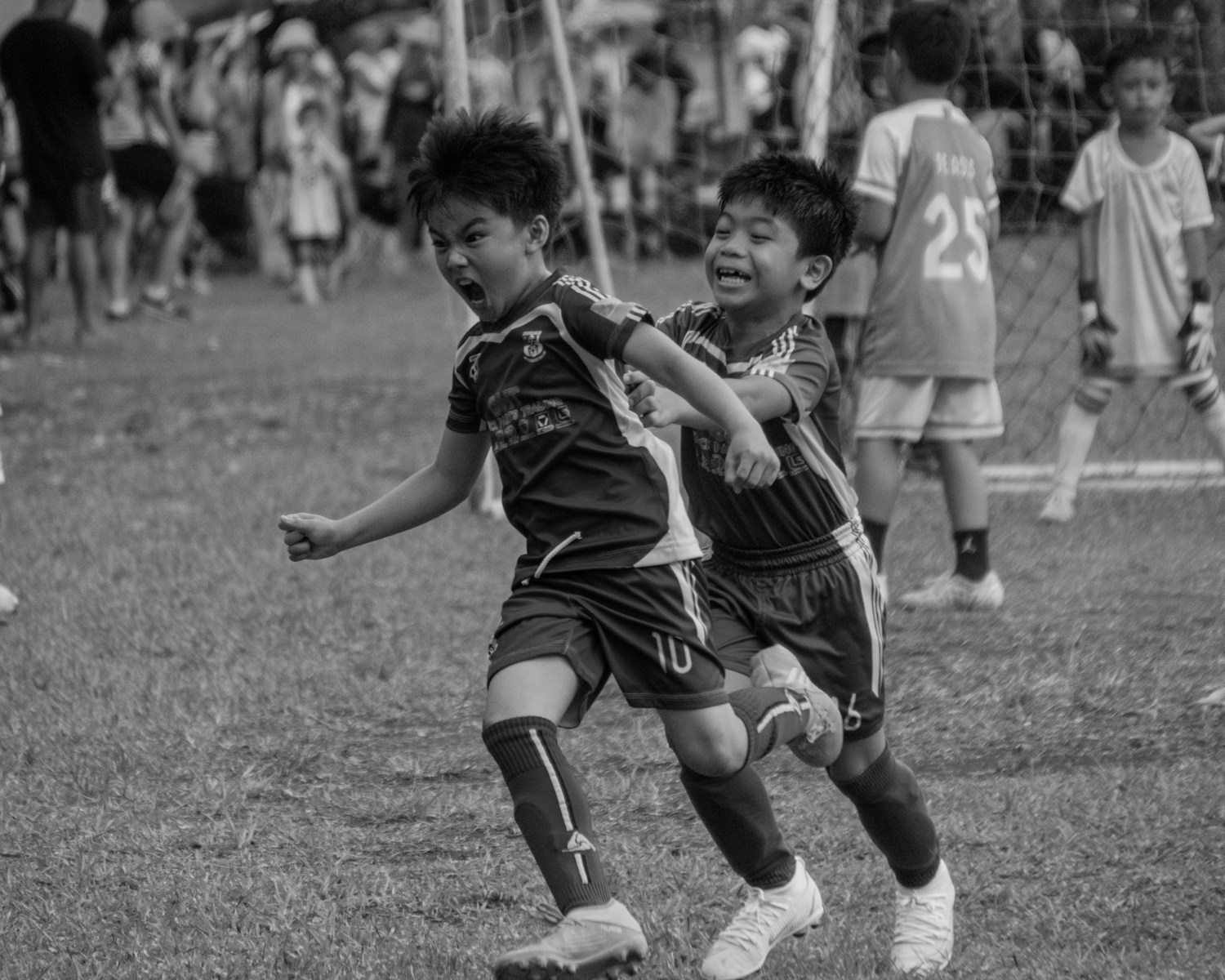 A casa também joga: parte I