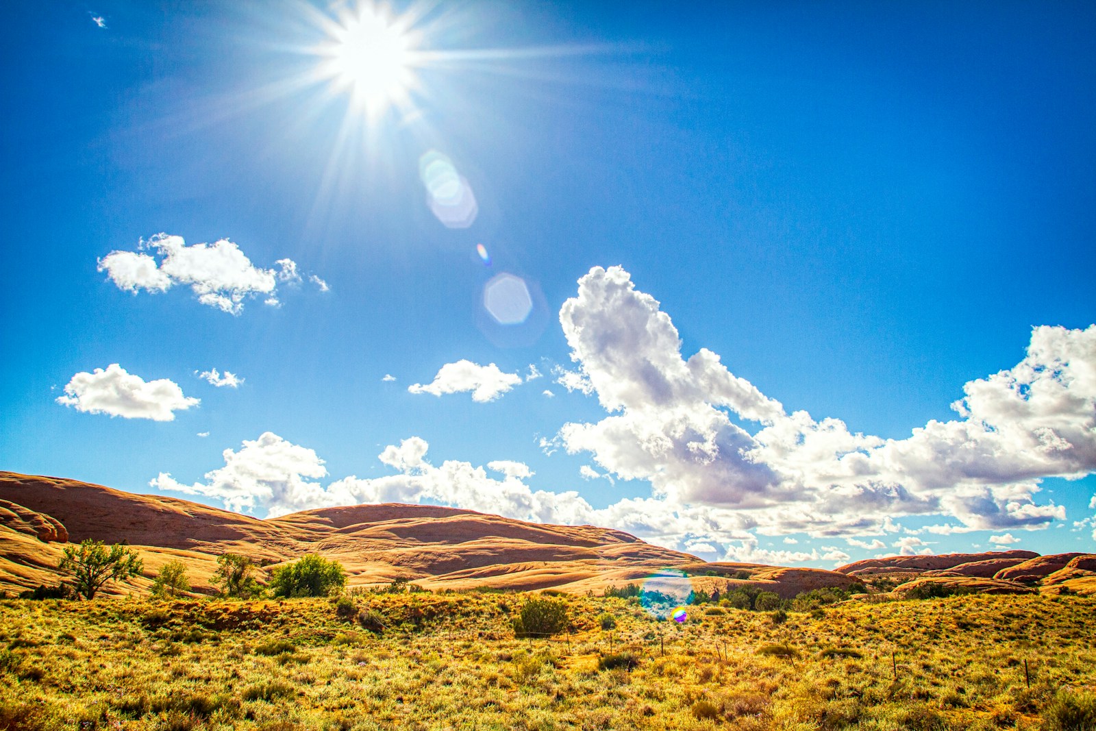 Calor mediático, mortalidade normal: Verão de 2026 começa sem excesso de óbitos
