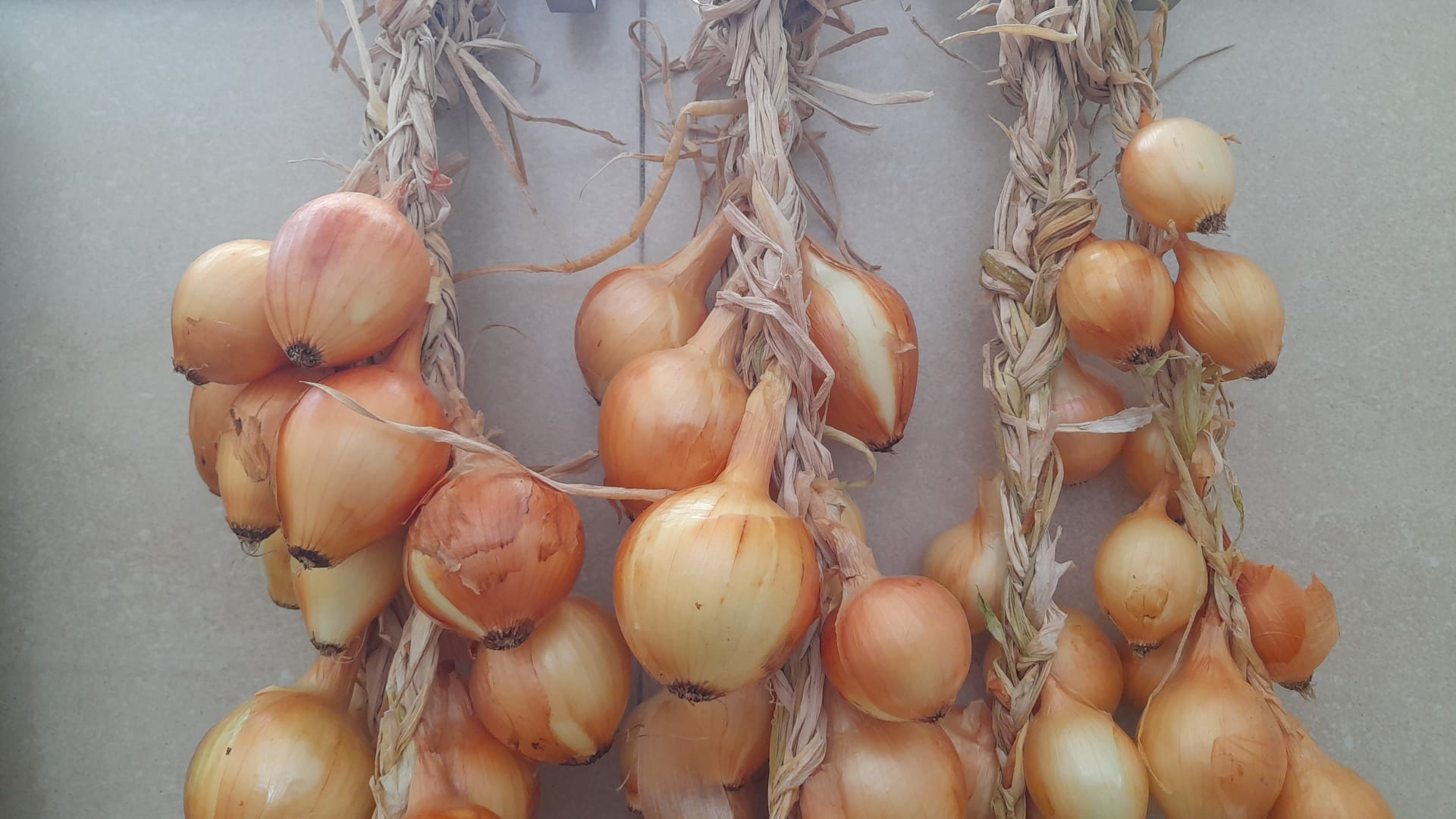 Agri(cultura)