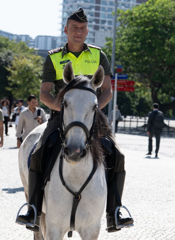 Rapidez da fiscalização de obras em fase de caricatura: Polícia Municipal de Lisboa passou de um dia para 18 dias em três anos