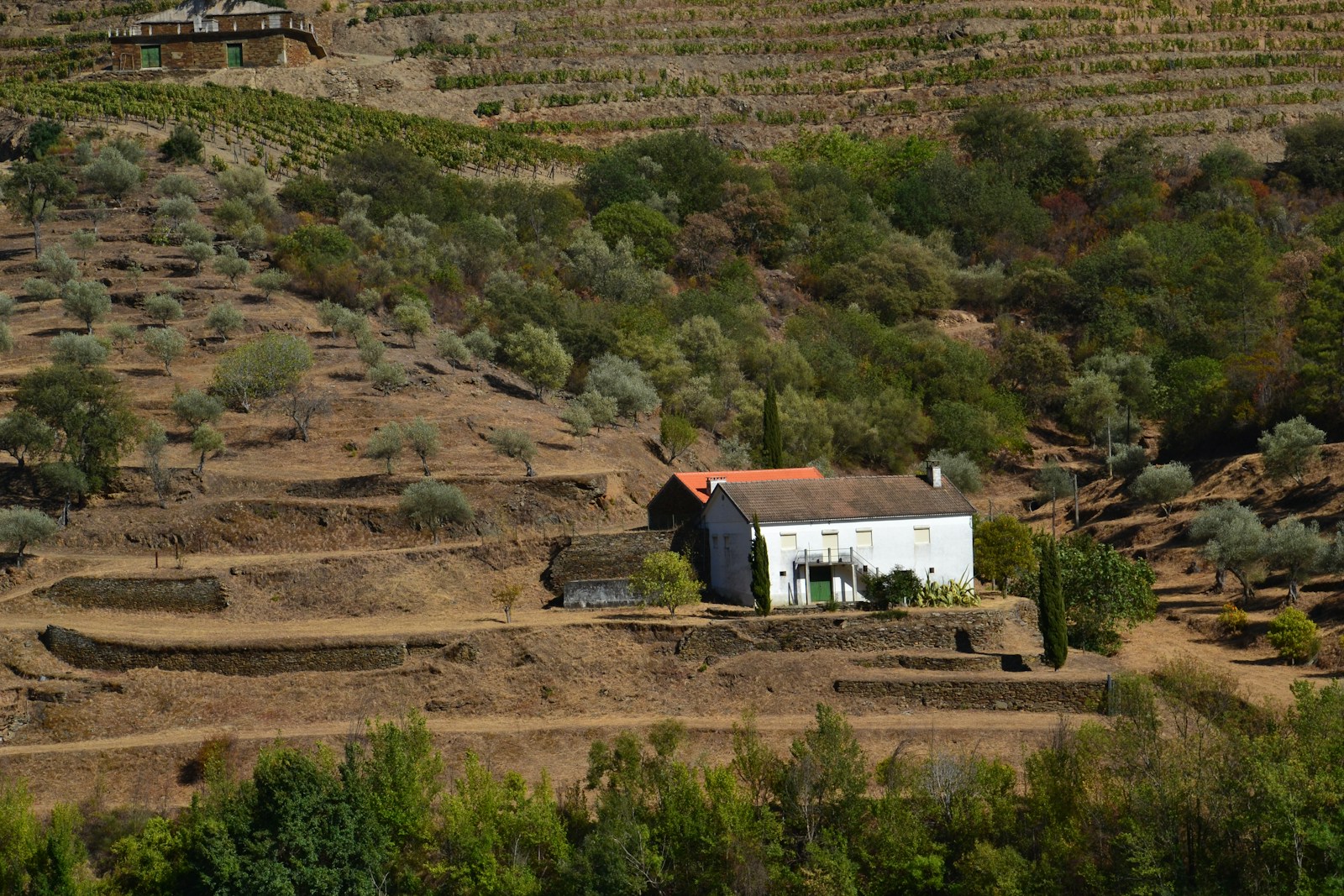 Casa no campo