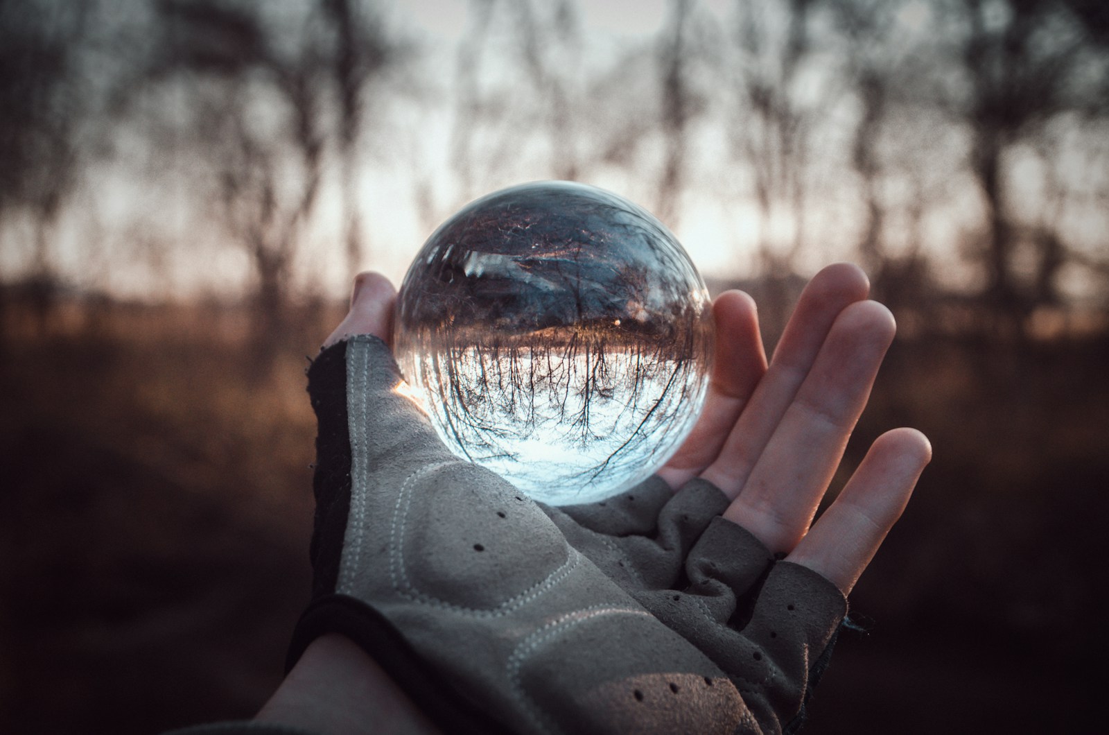 person holding glass ball